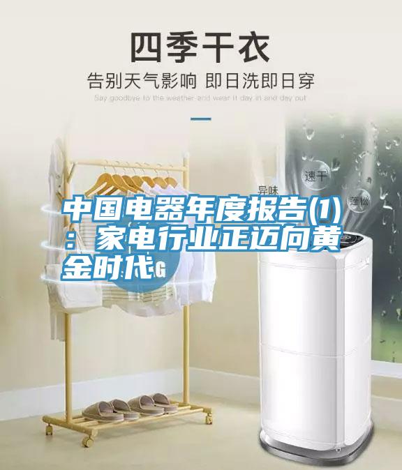 中國(guó)電器年度報(bào)告(1):家電行業(yè)正邁向黃金時(shí)代