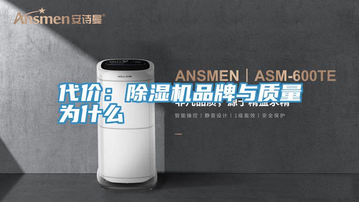 代價(jià)：除濕機(jī)品牌與質(zhì)量為什么