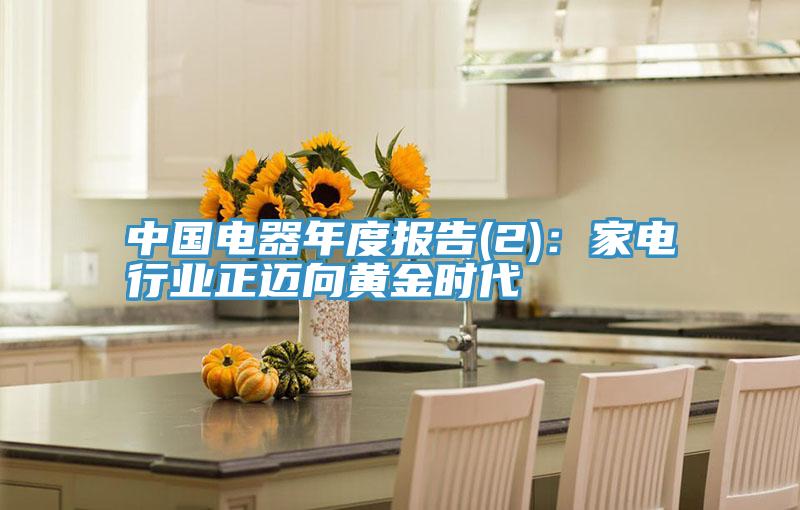 中國電器年度報告(2):家電行業(yè)正邁向黃金時代