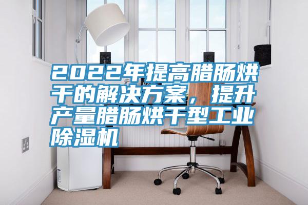 2022年提高臘腸烘干的解決方案，提升產(chǎn)量臘腸烘干型工業(yè)除濕機(jī)