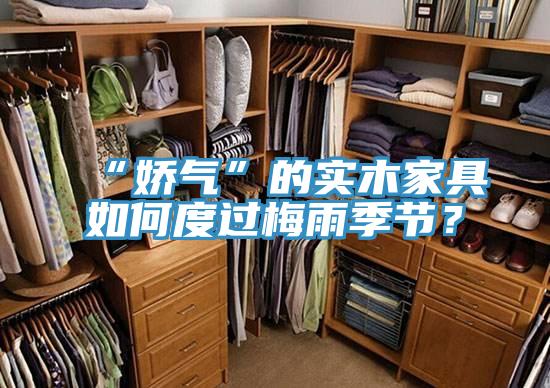 “嬌氣”的實(shí)木家具如何度過梅雨季節(jié)？