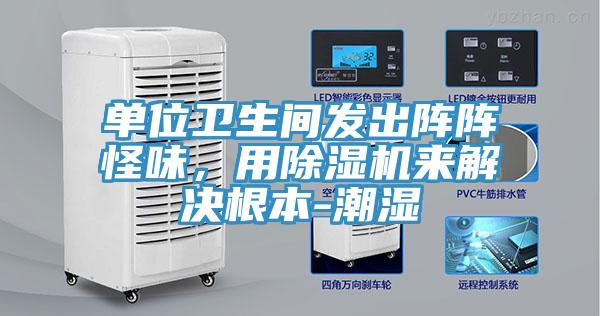 單位衛(wèi)生間發(fā)出陣陣怪味，用除濕機(jī)來解決根本-潮濕