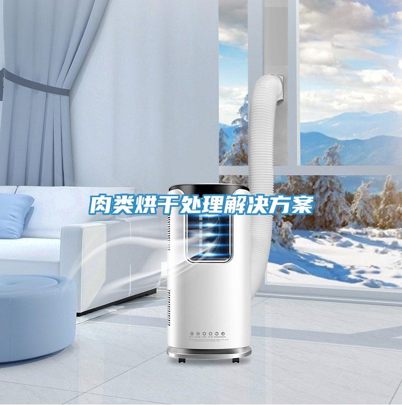 肉類(lèi)烘干處理解決方案
