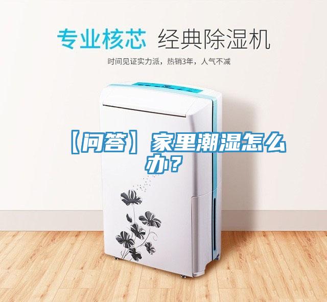 【問(wèn)答】家里潮濕怎么辦?