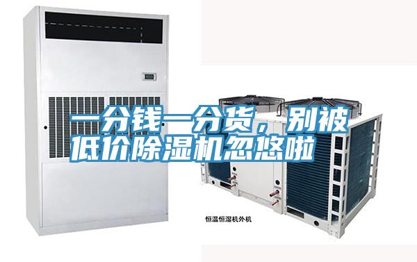 一分錢一分貨，別被低價除濕機忽悠啦