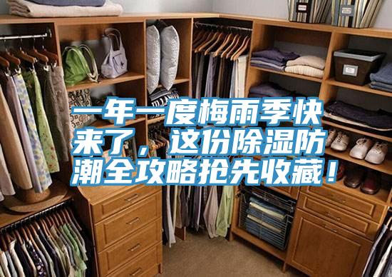 一年一度梅雨季快來(lái)了，這份除濕防潮全攻略搶先收藏！
