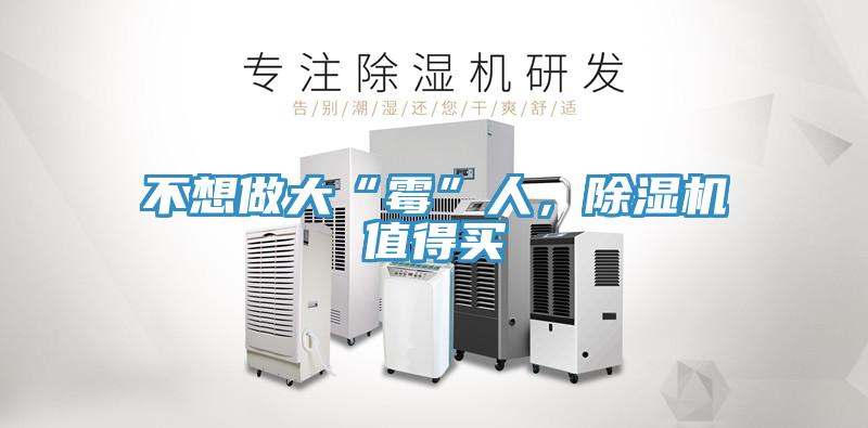 不想做大“霉”人，除濕機值得買