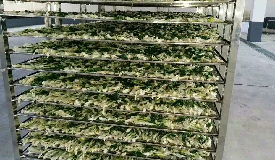 菜干需求一直都很大，蔬菜烘干機(jī)很有市場(chǎng)