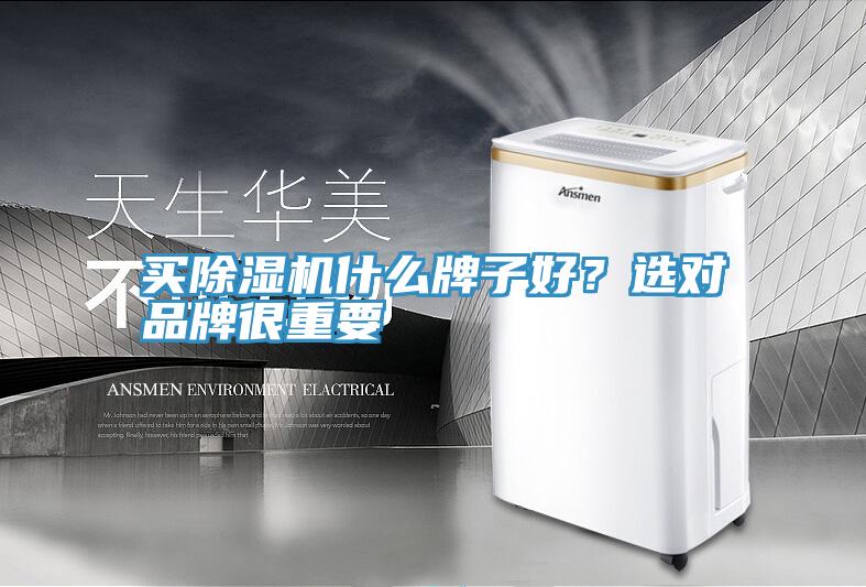 買(mǎi)除濕機(jī)什么牌子好？選對(duì)品牌很重要