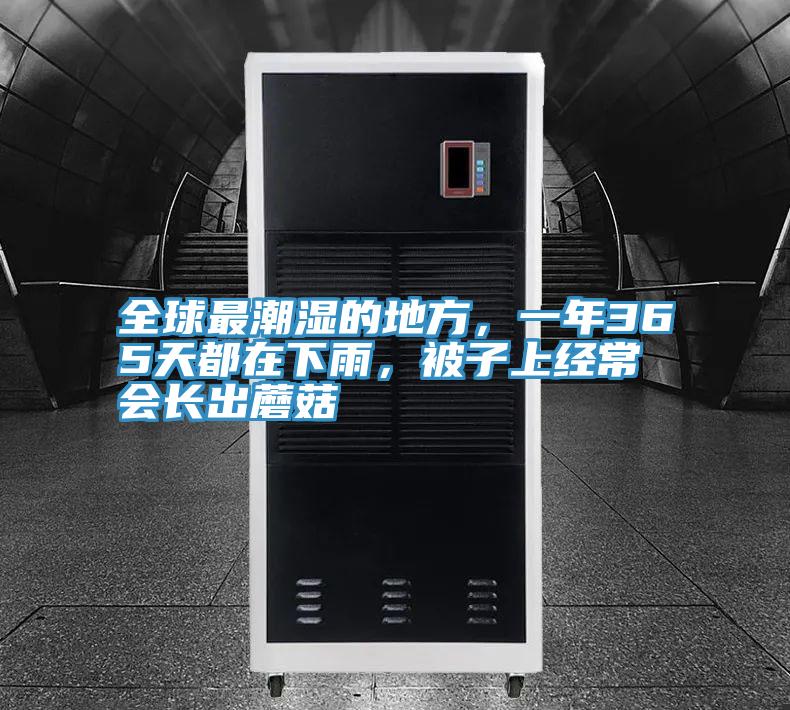 全球最潮濕的地方，一年365天都在下雨，被子上經(jīng)常會(huì)長(zhǎng)出蘑菇