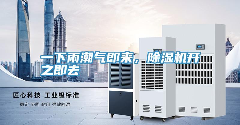 一下雨潮氣即來，除濕機開之即去