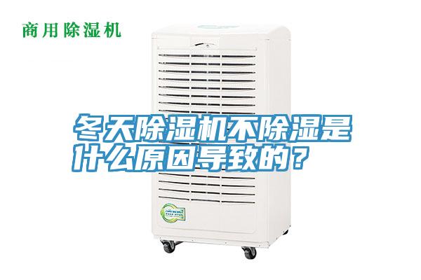 冬天除濕機(jī)不除濕是什么原因?qū)е碌模?></div>
								<div   id=