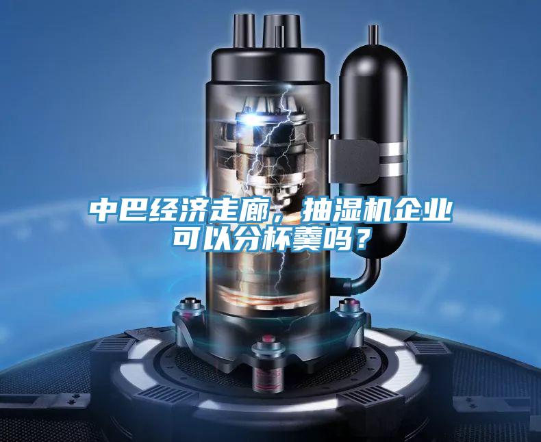 中巴經(jīng)濟(jì)走廊，抽濕機(jī)企業(yè)可以分杯羹嗎？