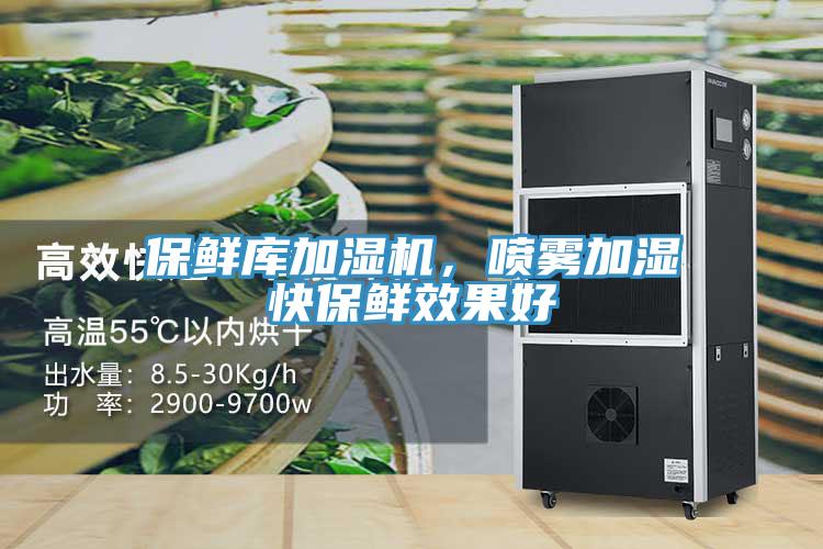 保鮮庫加濕機，噴霧加濕快保鮮效果好