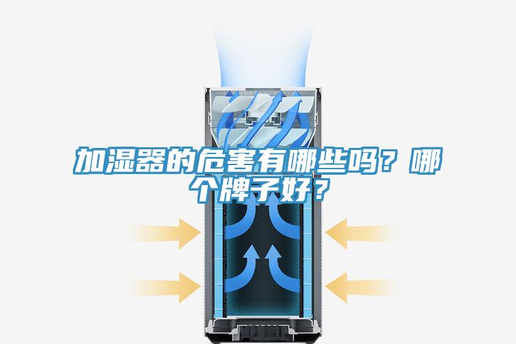 加濕器的危害有哪些嗎？哪個牌子好？