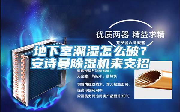 地下室潮濕怎么破？安詩曼除濕機(jī)來支招