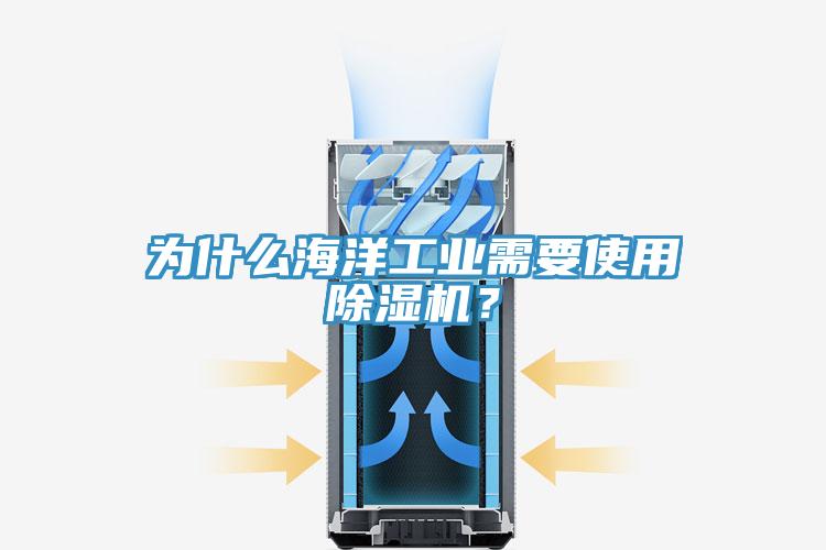 為什么海洋工業(yè)需要使用除濕機(jī)？