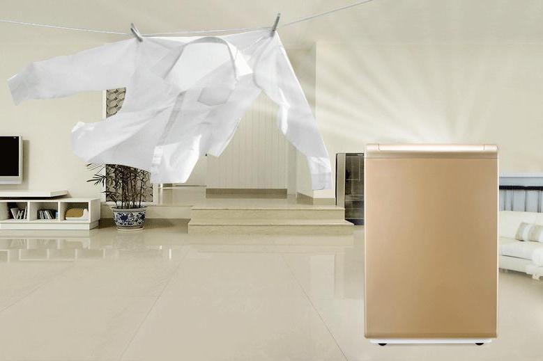 制工藝品收藏要配置除濕機(jī)