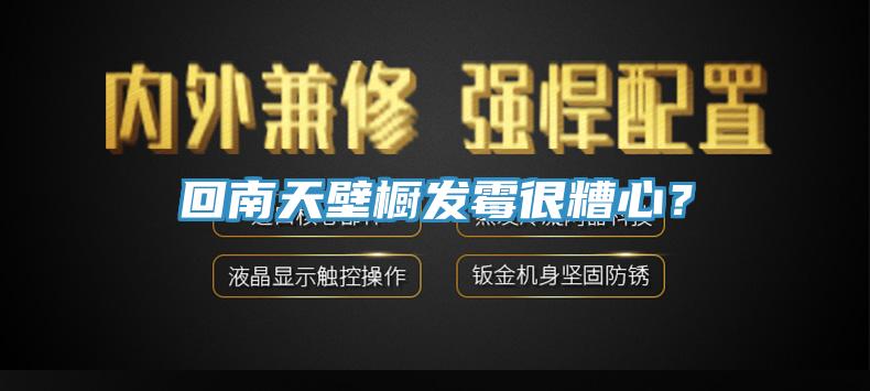 回南天壁櫥發(fā)霉很糟心？