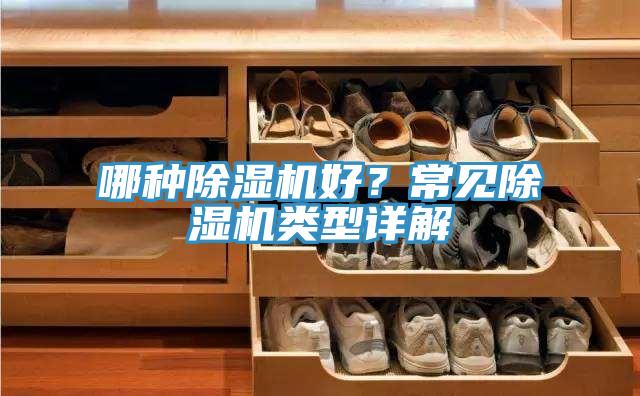 哪種除濕機好？常見除濕機類型詳解