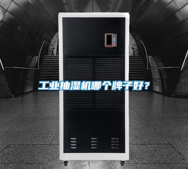 工業(yè)抽濕機(jī)哪個(gè)牌子好?