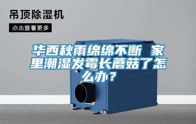 華西秋雨綿綿不斷 家里潮濕發(fā)霉長(zhǎng)蘑菇了怎么辦？