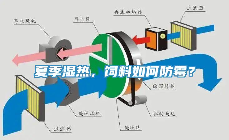 夏季濕熱，飼料如何防霉？