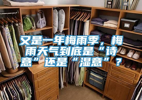 又是一年梅雨季，梅雨天氣到底是“詩意”還是“濕意”？