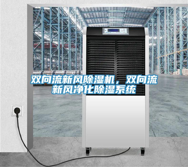 雙向流新風除濕機，雙向流新風凈化除濕系統(tǒng)