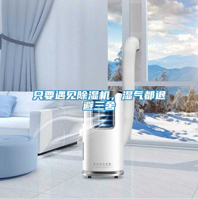 只要遇見除濕機，濕氣都退避三舍