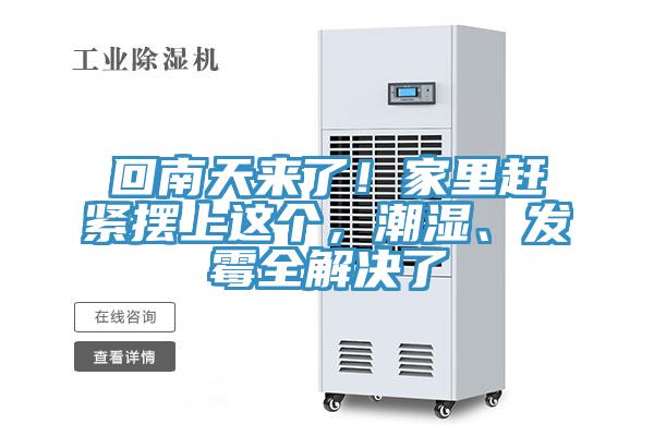 回南天來(lái)了！家里趕緊擺上這個(gè)，潮濕、發(fā)霉全解決了