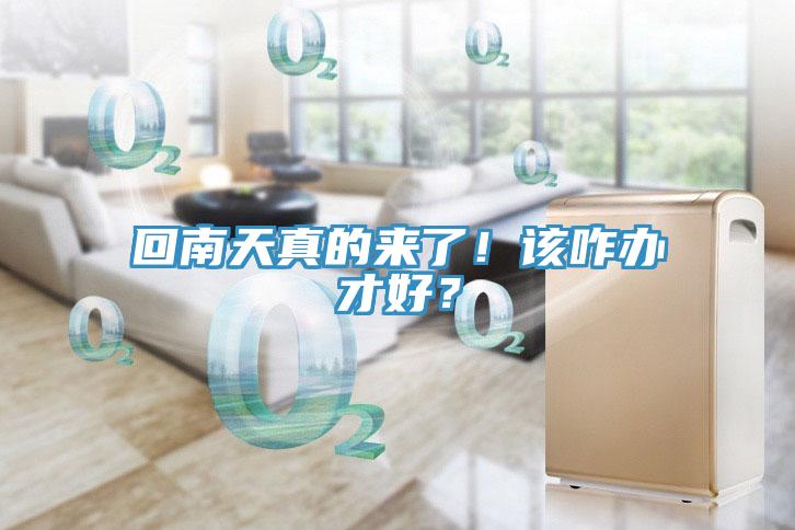 回南天真的來了！該咋辦才好？