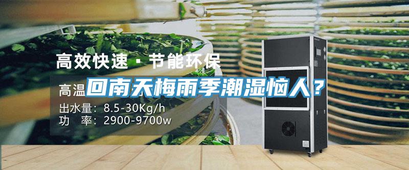 回南天梅雨季潮濕惱人？