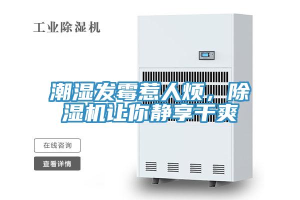 潮濕發(fā)霉惹人煩，除濕機讓你靜享干爽