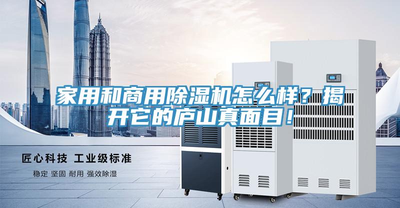 家用和商用除濕機怎么樣？揭開它的廬山真面目！