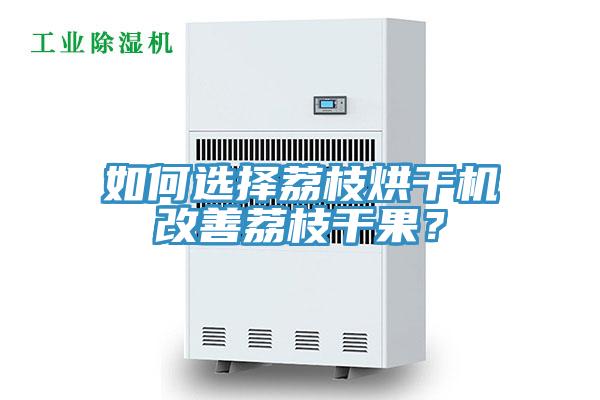 如何選擇荔枝烘干機(jī)改善荔枝干果？