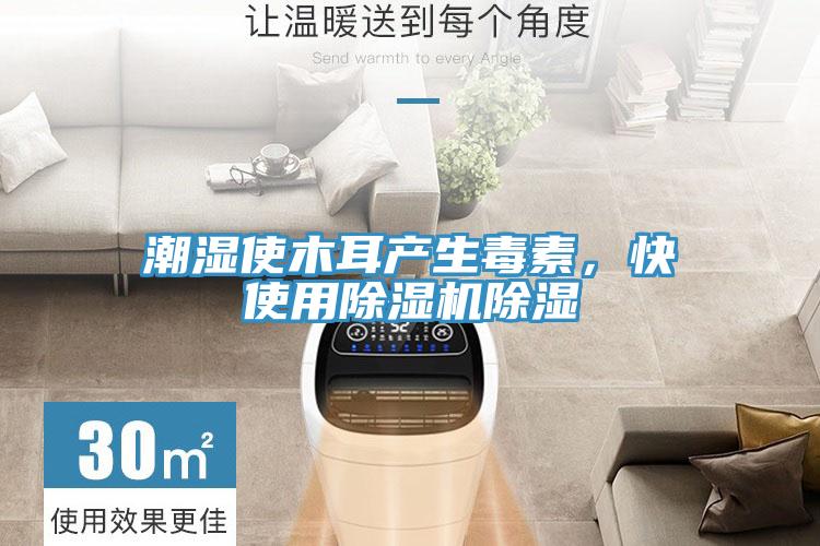 潮濕使木耳產(chǎn)生毒素，快使用除濕機除濕