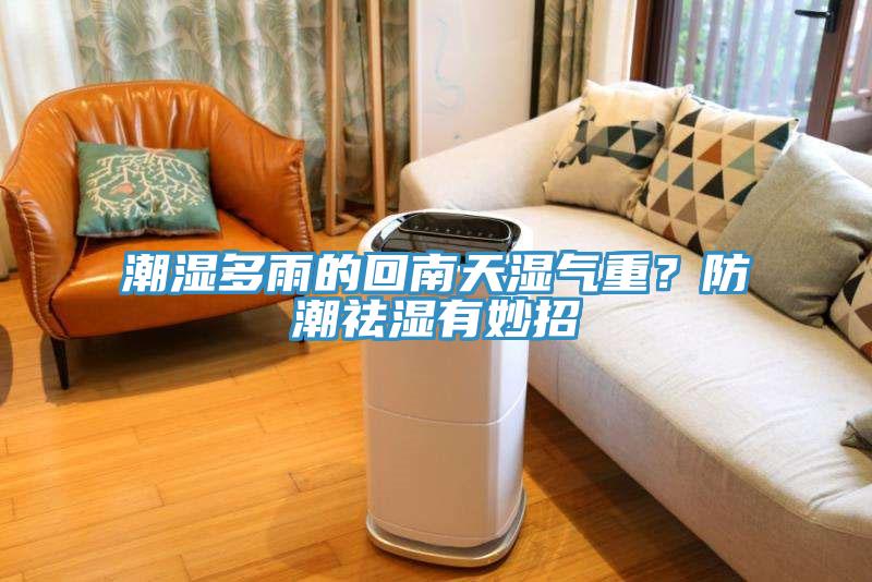 潮濕多雨的回南天濕氣重？防潮祛濕有妙招