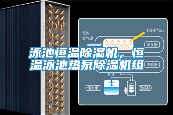 泳池恒溫除濕機(jī)，恒溫泳池?zé)岜贸凉駲C(jī)組