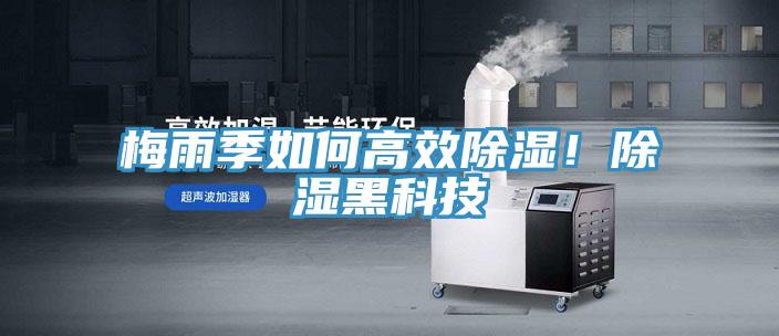 梅雨季如何高效除濕！除濕黑科技