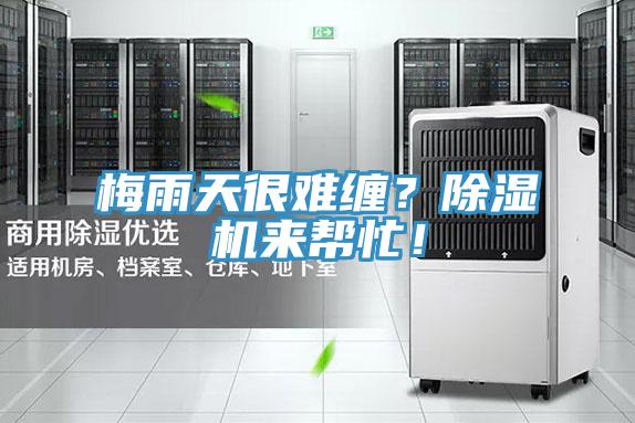 梅雨天很難纏？除濕機(jī)來(lái)幫忙！