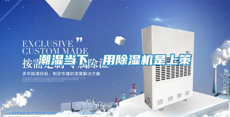 潮濕當(dāng)下，用除濕機是上策