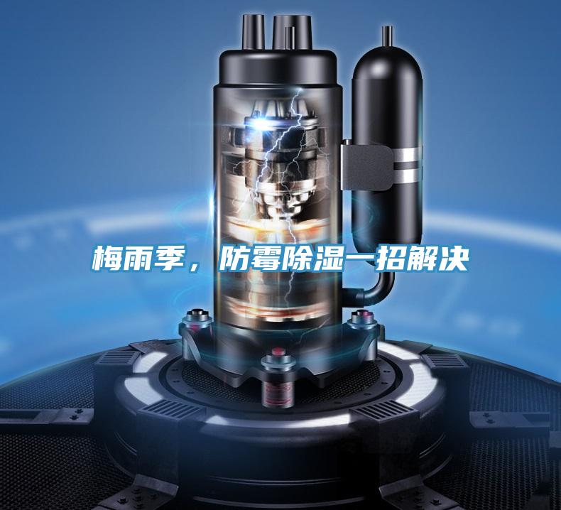 梅雨季，防霉除濕一招解決