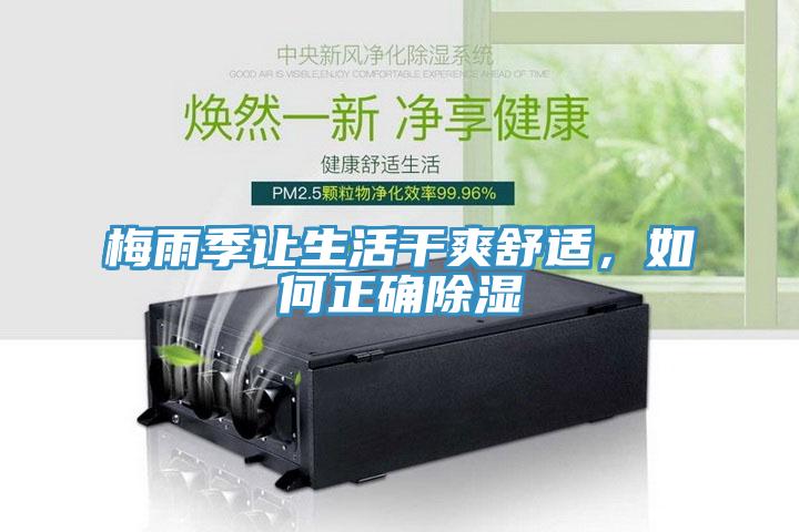 梅雨季讓生活干爽舒適，如何正確除濕