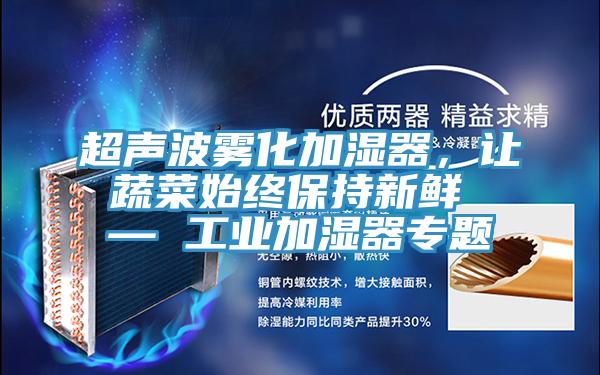 超聲波霧化加濕器，讓蔬菜始終保持新鮮 — 工業(yè)加濕器專題