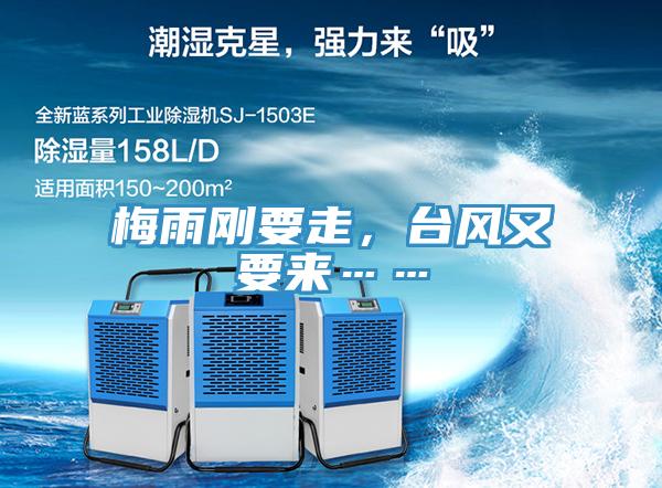 梅雨剛要走，臺(tái)風(fēng)又要來(lái)……