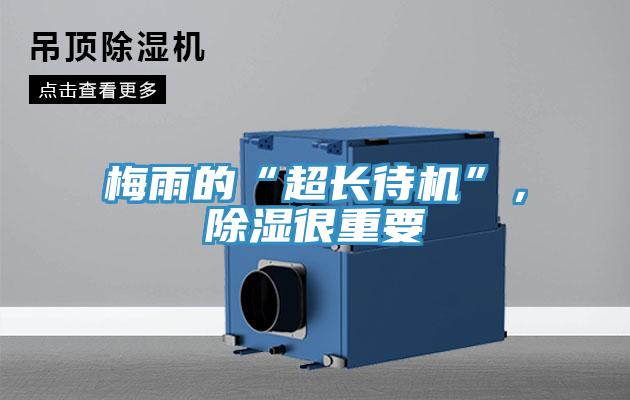 梅雨的“超長待機”，除濕很重要