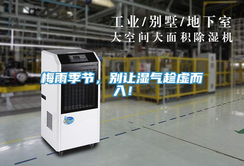 梅雨季節(jié)，別讓濕氣趁虛而入！