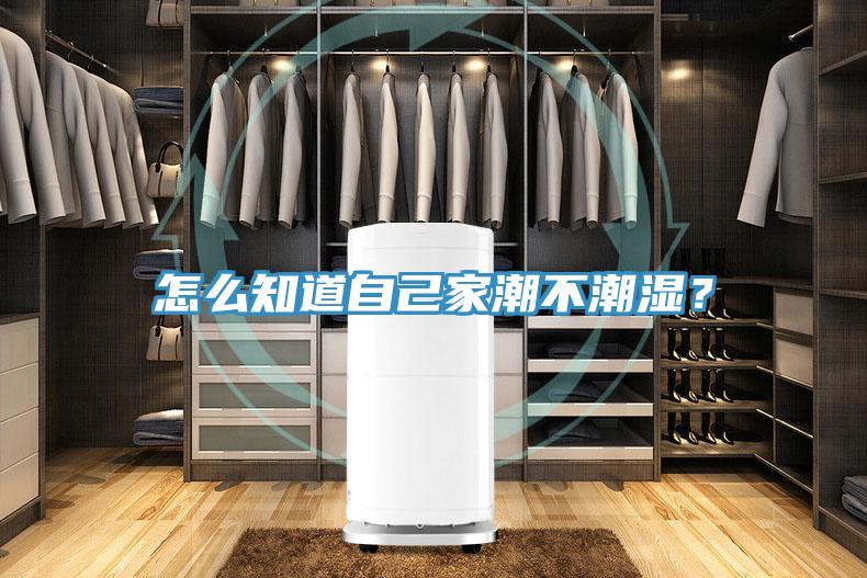怎么知道自己家潮不潮濕？