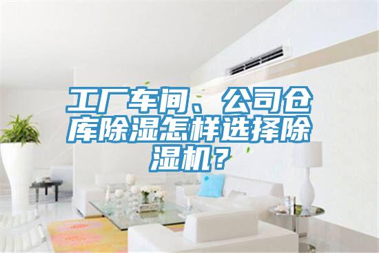 工廠車間、公司倉庫除濕怎樣選擇除濕機？